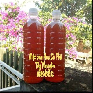 Mật ong hoa Cafe Tây Nguyên Bảo Lộc