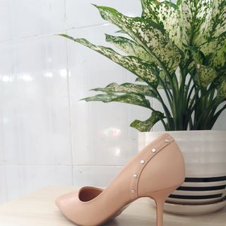 Cao gót viền 160k