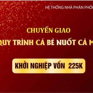 Tinh dầu thơm khử mùi hôi