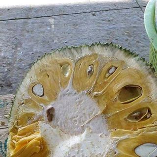 Mít Thái Da Xanh cơm ngọt vàng ngon
