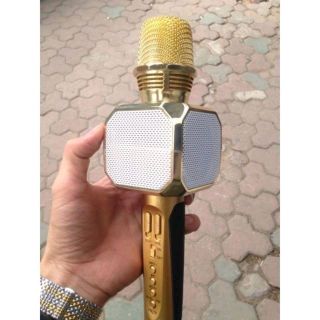 mic sd 10 SDRD