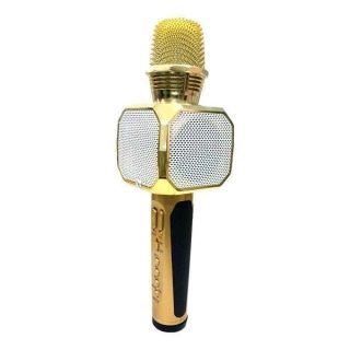 mic sd 10 SDRD