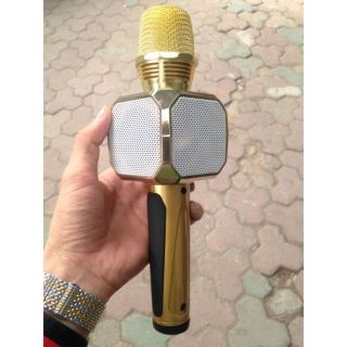 mic sd 10 SDRD