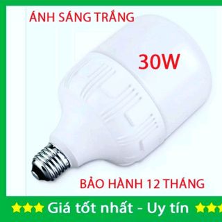Bóng đèn LED trụ 30W ánh sáng trắng