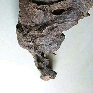 Trầm Lâu Năm Bì Núi Hàng Trầm Chìm