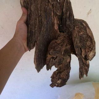 Trầm Lâu Năm Bì Núi Hàng Trầm Chìm