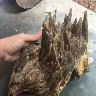 Trầm Lâu Năm Bì Núi Hàng Trầm Chìm