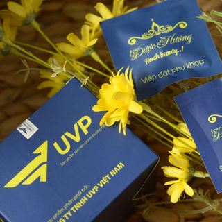 Viên đặt phụ khoa Dược Hương