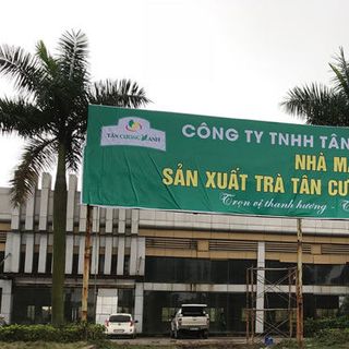 Trà Tân Cương Tước Thiệt
