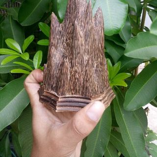Tượng Trầm Hương Để Oto