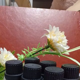 Tinh dầu sả chanh Ấn Độ lọ xông 10ml đuổi ruồi muỗi