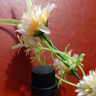 Tinh dầu sả chanh Ấn Độ lọ xông 10ml đuổi ruồi muỗi
