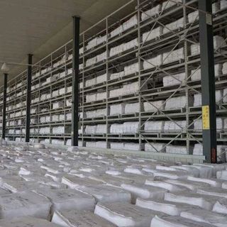 khăn tắm và chăn ga khách sạn