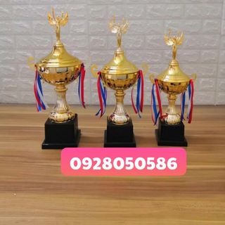 Nơi làm cúp cung cấp cúp nghành thẩm mỹ làm cúp cho các cuộc thi tay nghề làm đẹp cúp doanh nhân cúp lưu niệm