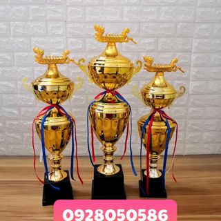 Nơi làm cúp cung cấp cúp nghành thẩm mỹ làm cúp cho các cuộc thi tay nghề làm đẹp cúp doanh nhân cúp lưu niệm