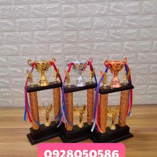 Nơi làm cúp cung cấp cúp nghành thẩm mỹ làm cúp cho các cuộc thi tay nghề làm đẹp cúp doanh nhân cúp lưu niệm