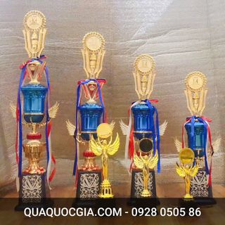 Nơi làm cúp cung cấp cúp nghành thẩm mỹ làm cúp cho các cuộc thi tay nghề làm đẹp cúp doanh nhân cúp lưu niệm
