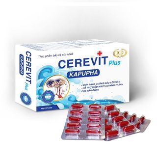 BỔ NÃO NGĂN NGỪA ĐỘT QUỴ CEREVIT PLUS KAPUPHA