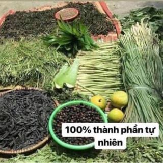 Dầu gội Cao Bồ Kết