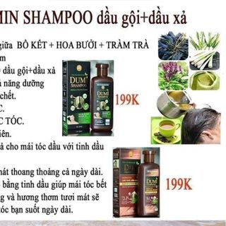 Dầu gội dược thảo tràm trà