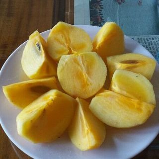 HỒNG GIÒN ĐÀ LẠT