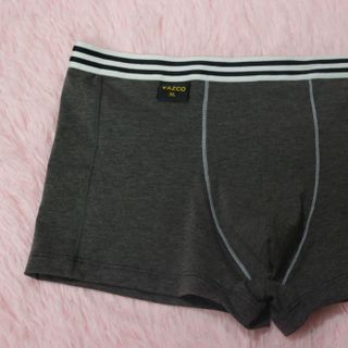 Quần lót boxer VAZCO QL2