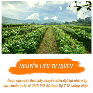 KHỚP AN VIỆT - Hỗ trợ điều trị viêm khớp thoái hóa khớp