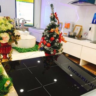 Bếp từ ba PEDINI PDN Q999