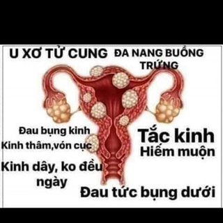 Phụ khoa diệp tố như thanh mộc hương