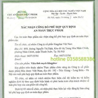 Viên tĩnh mạch Kingphar - Chống suy giãn viêm tắc tĩnh mạch