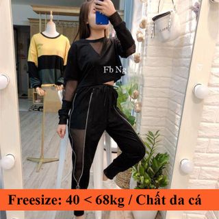 Set bộ áo croptop tay dài và quần jogger phối lưới giá sỉ