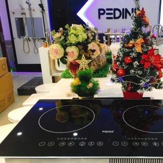 Bếp từ đôi PEDINI Lxr 368G