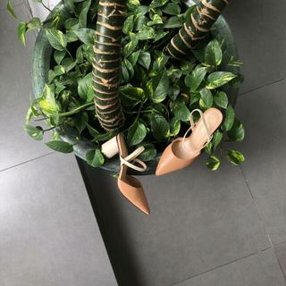 Giày cao gót 5p hợp thời trang