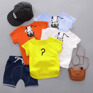 BỘ CON MÈO