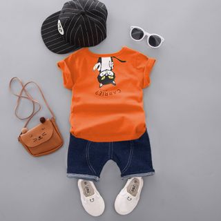 BỘ CON MÈO