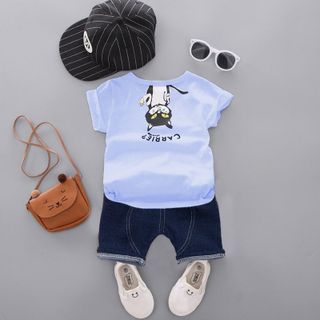 BỘ CON MÈO