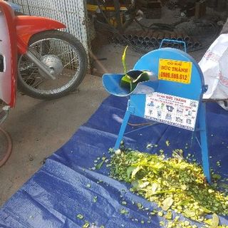 máy băm rau bèo