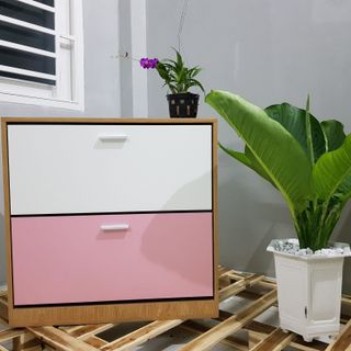 Tủ đựng giày 2 tầng