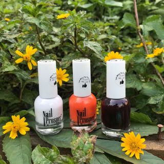 Sơn Gel lạnh Prosper No20