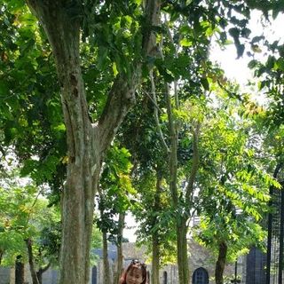 Đầm đi tiệc