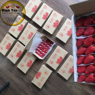 Dâu tây giống Mỹ Vietgap