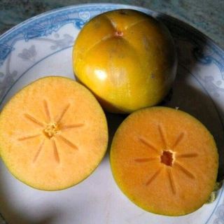 hồng giòn Chín Nên