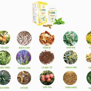 Viên Uống Komil Detox Chữa Hôi Miệng Lọ 60 Viên