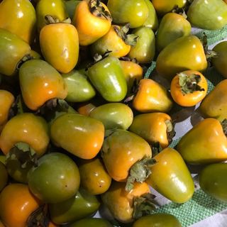 Hồng chín trứng láng