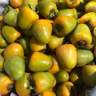 Hồng chín trứng láng