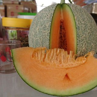 Dưa Lưới Nhật Bản - giống Festa Giá Sỉ Toàn Quốc - Dưa Lưới LaniFarm