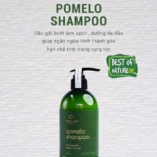 combo dầu gội bưởi vijujlv