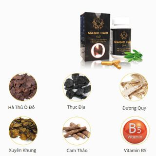 Viên Uống Magic hair gold giúp mọc tóc nhanh chống hói đầu tóc bạc sớm Lọ 60 Viên