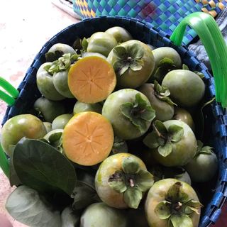 hồng giòn Chín Nên