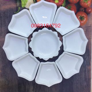 Bộ đĩa mặt trời bộ đĩa hoa hướng dương